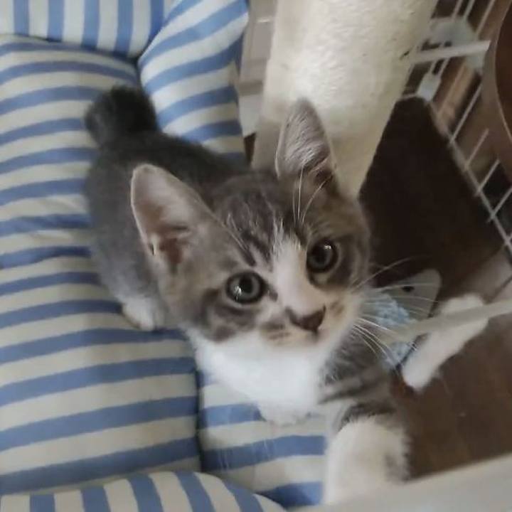 222df747 1ae5 47d4 8840 42cf8b91a5f4 1653470808192