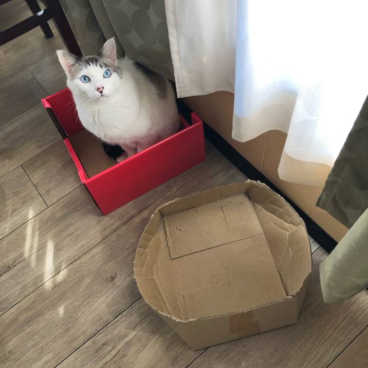 222e1269 be51 404b a7c7 a2e50dac2826 1668990097810