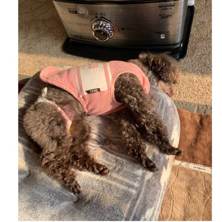 222e2e00 f30e 403e 8d58 003ab1cd2e04 1577939051524