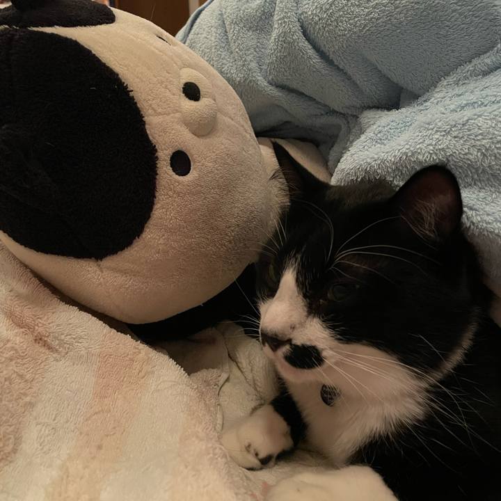 222e6a90 b534 4588 8226 a0a347e84659 1705964743015