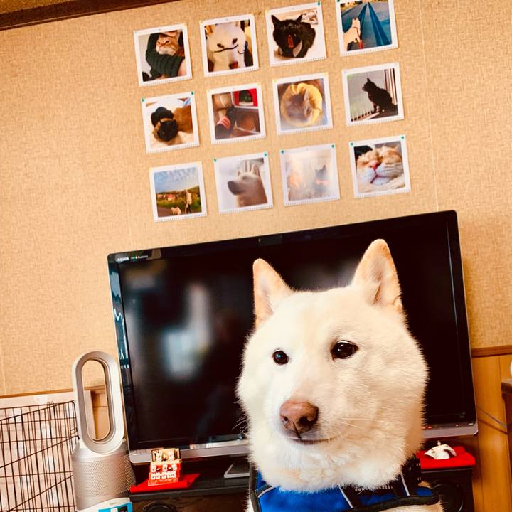 222e7d16 feb3 4f6e b0e5 ad19821ffae6 1646010099883