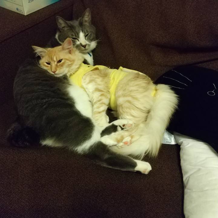 222ea5e7 24d8 4dcb 80b5 5abdd1e9d599 1614784263625