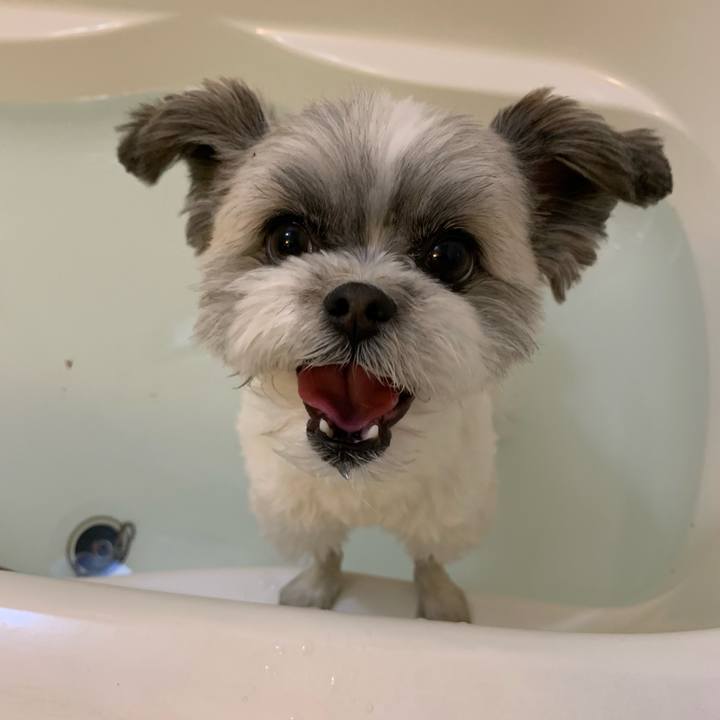 222ee84d 5344 4e97 a05d ad6165c81510 1556006487267