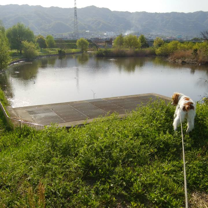 222ee996 441f 4d43 b100 528a263c4eb7 1523591138454