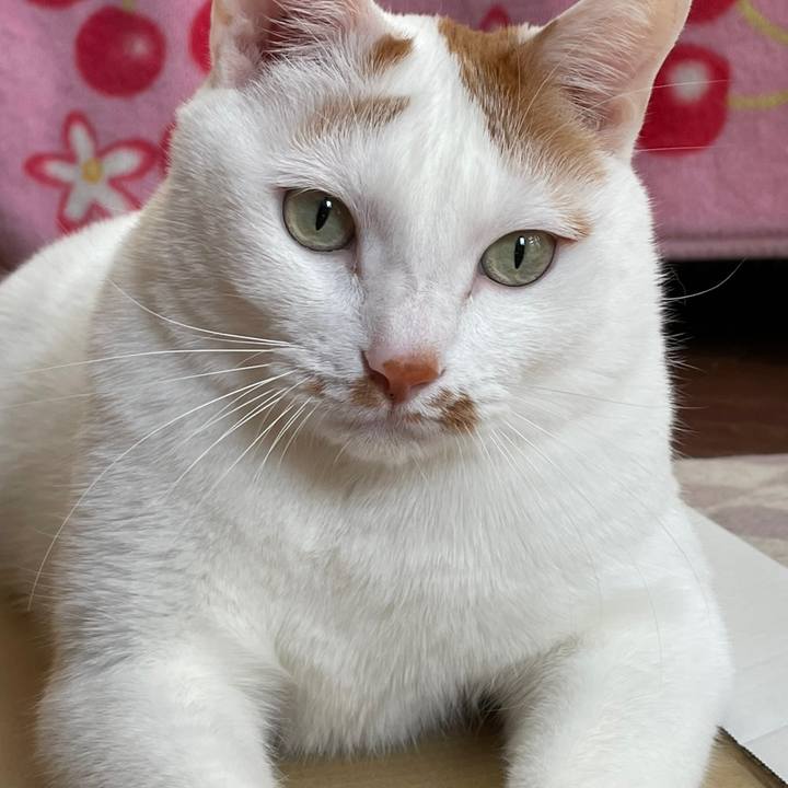 222eebc6 bce9 454d aa3c 7b441409aa45 1644589470670