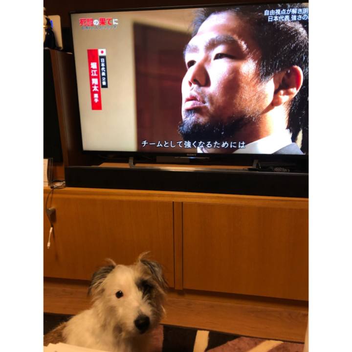 222f2ee4 6b38 4783 ba4a a25a3f7b587b 1577716073518