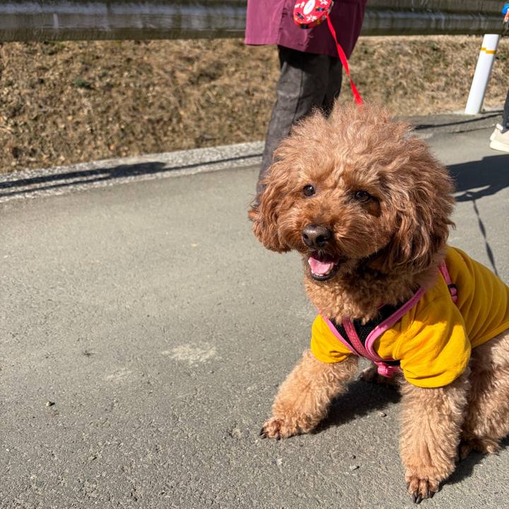 222f4170 534e 4c14 80a1 8e6785141248 1768774457229