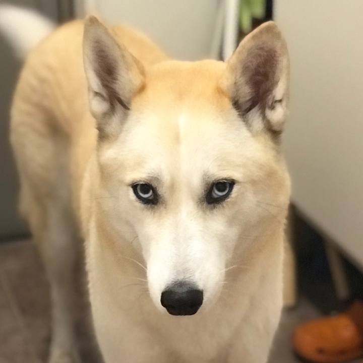 222f4885 1edb 4124 bad3 67a243e6f0f2 1543140801996