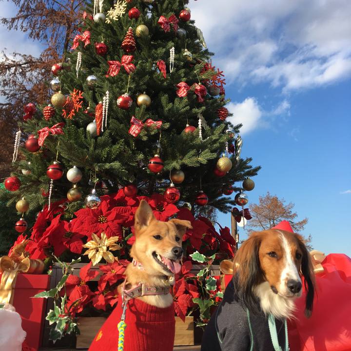 222f4e16 0362 4749 9155 54710210ce83 1512831634670