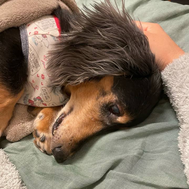 222f7c50 ed51 408f bc2f 94e749e01a0b 1639745925830