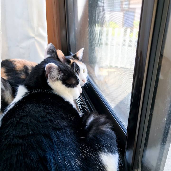 222f8976 eefb 40ec 939b 07e2bcaa6c33 1521634210936