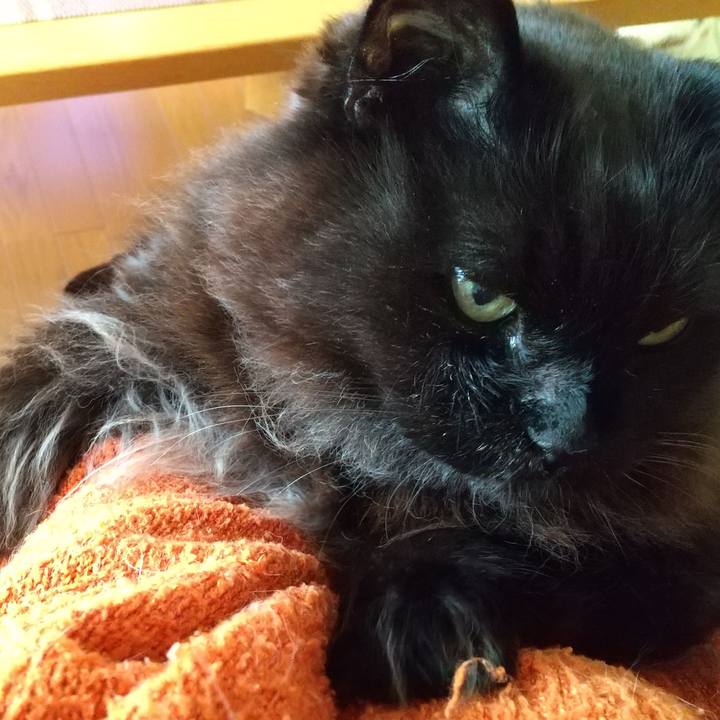 222fadb3 c535 4170 b260 36313690d55d 1616625912707