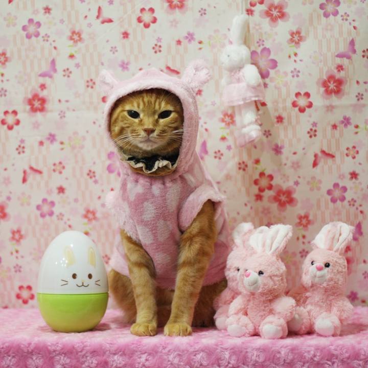 222faddc f46d 436a a44a 698c4ace8d52 1617490262966