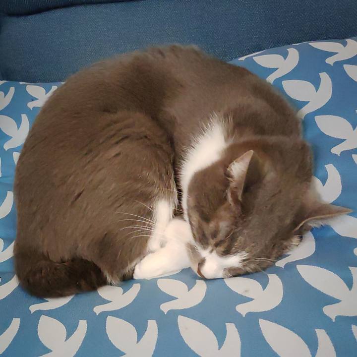 22301f46 6134 42dd 8b20 35dfbc56c53c 1704717432081