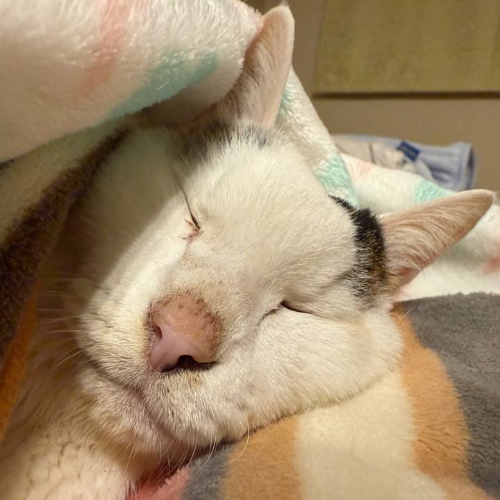 22303e2b 8948 4ebd a242 83895baac2ea 1766930056681