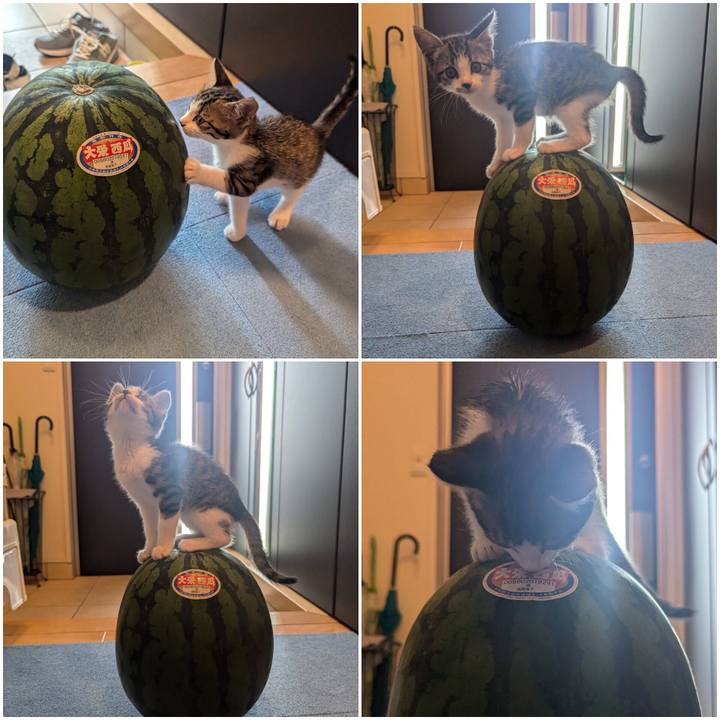 22305a5d 7bd2 4dc7 a917 bc54bb6ffe7f 1718964505149