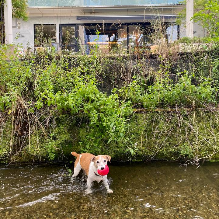 223061c9 a45a 4d94 969d 048a5cca9886 1689064900723