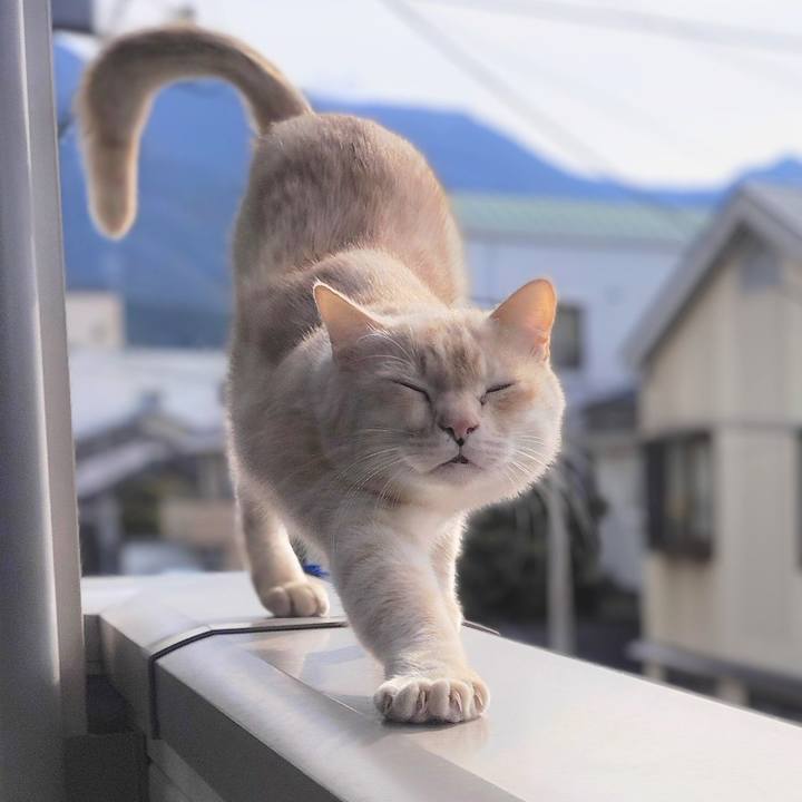 22308376 b1ff 4ab9 a3ef 7987bbd7c1e7 1735531416722