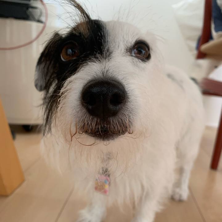 2230aac7 a223 4fe2 a3b0 f56231ec0b25 1661133200183