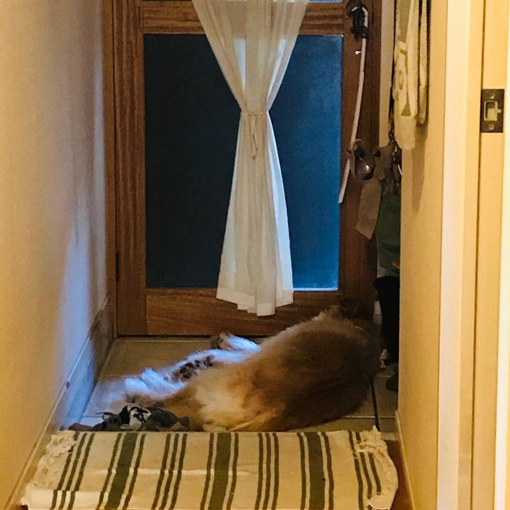 2230d977 0d1d 49f1 b512 67b0152e1e55 1564363148850