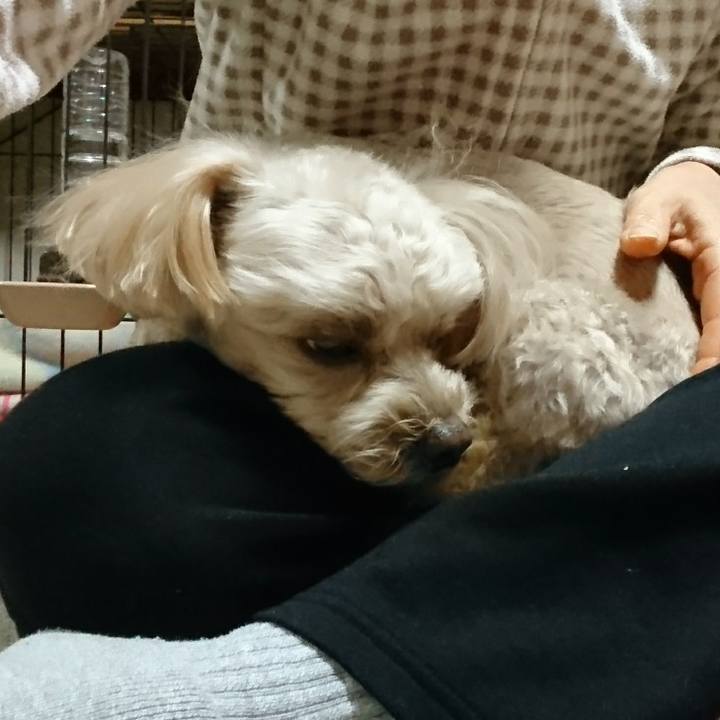 22310c10 5a27 4c2e 8569 96c57d02aeea 1580114388305