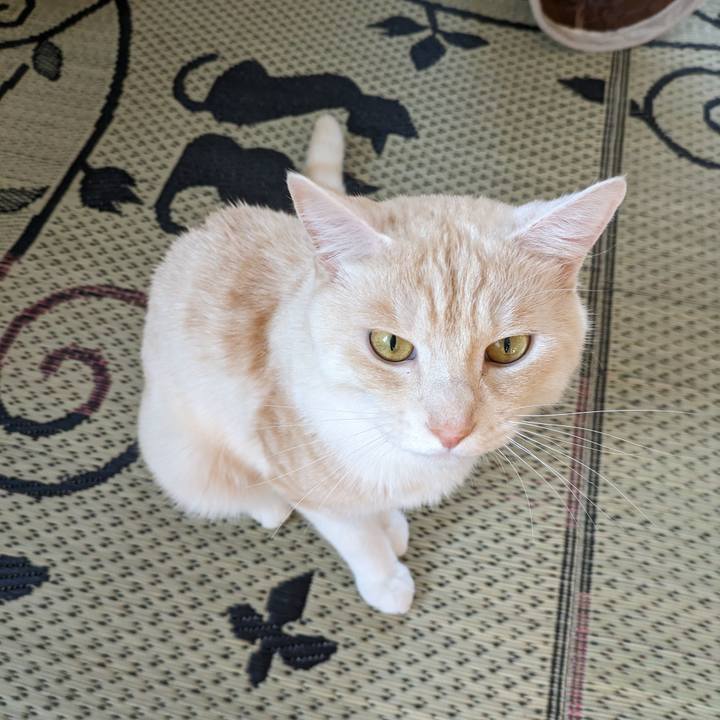 22313b10 5f15 49cd a4ad ff24b19e04cc 1687084813480