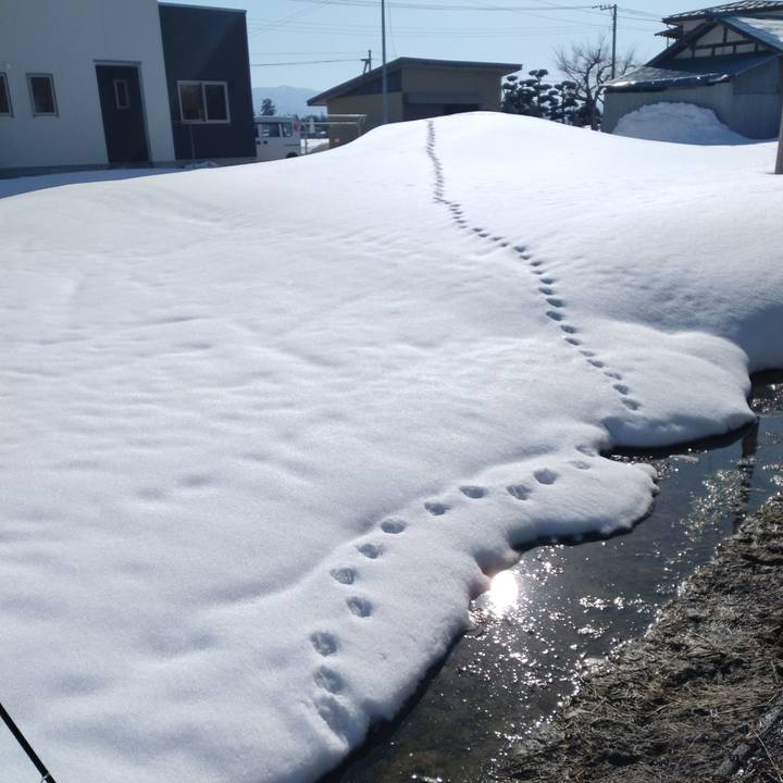 22316b66 6ab2 41e9 99d4 93cb9660f0e4 1677479185504