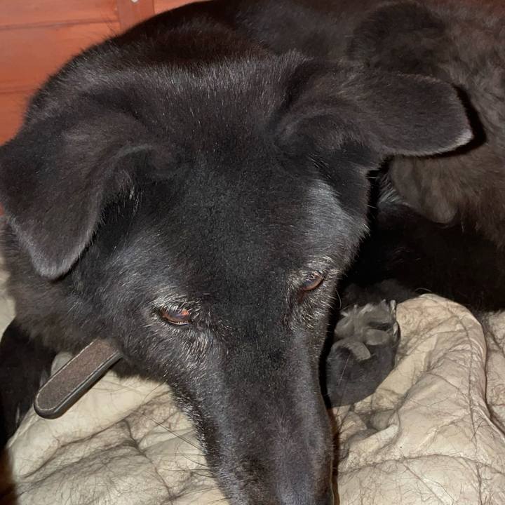 223171b2 4f93 44eb 86f1 05555f79ea6f 1675521122278