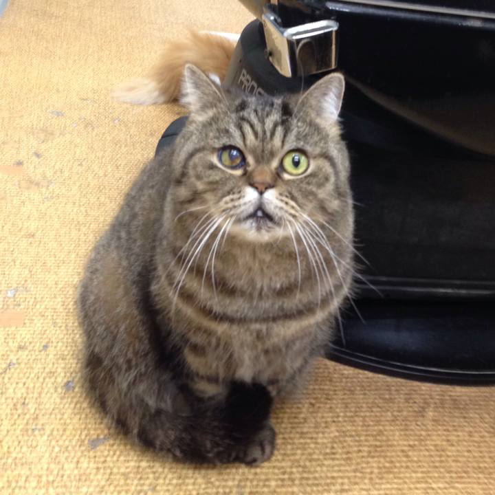 22318bf2 36a5 4933 9ac5 5156bf65895d 1513816800339