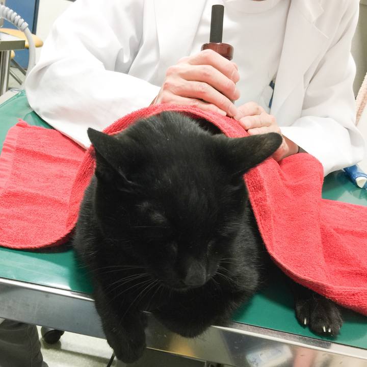 223199ae 3c69 461c a7a5 9a5be82a7caf 1548768562487