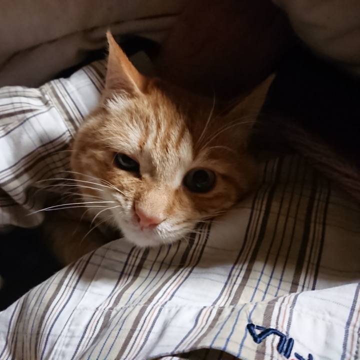 2231ab9e 96c6 47e0 9ee7 49fd664f32f3 1638132535202