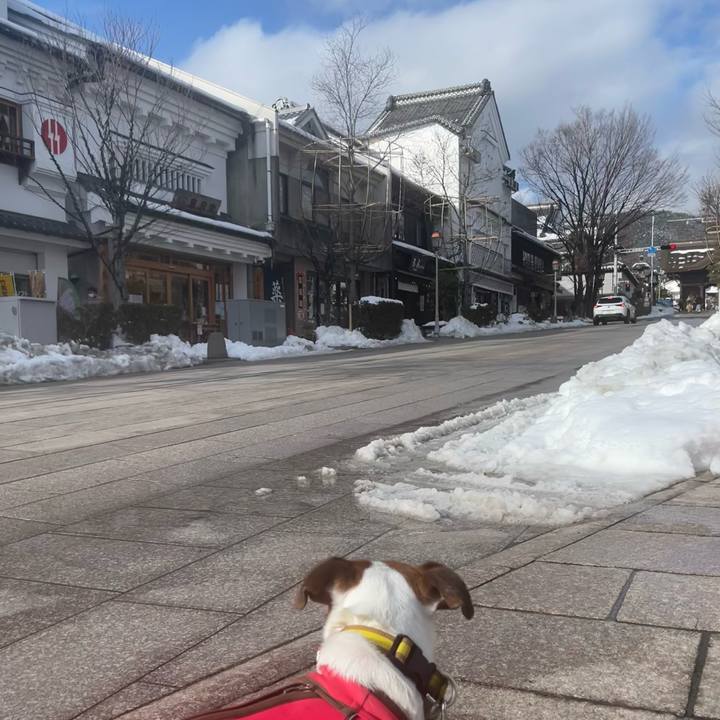 2231b29e d08d 4d2a a5df 1e364d601ac6 1643009014888