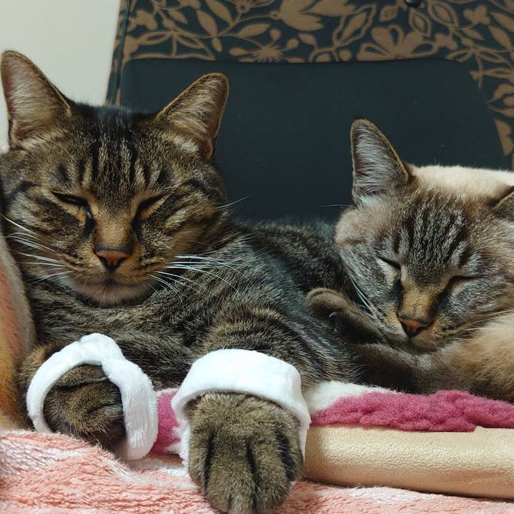 2231c9a9 aeef 45e3 ab64 851a2614ccb8 1668518574294