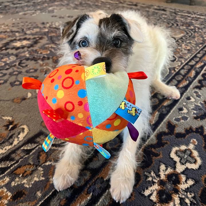 2231e505 78b9 4ab3 a44d 9b4606b90f7f 1745617576465