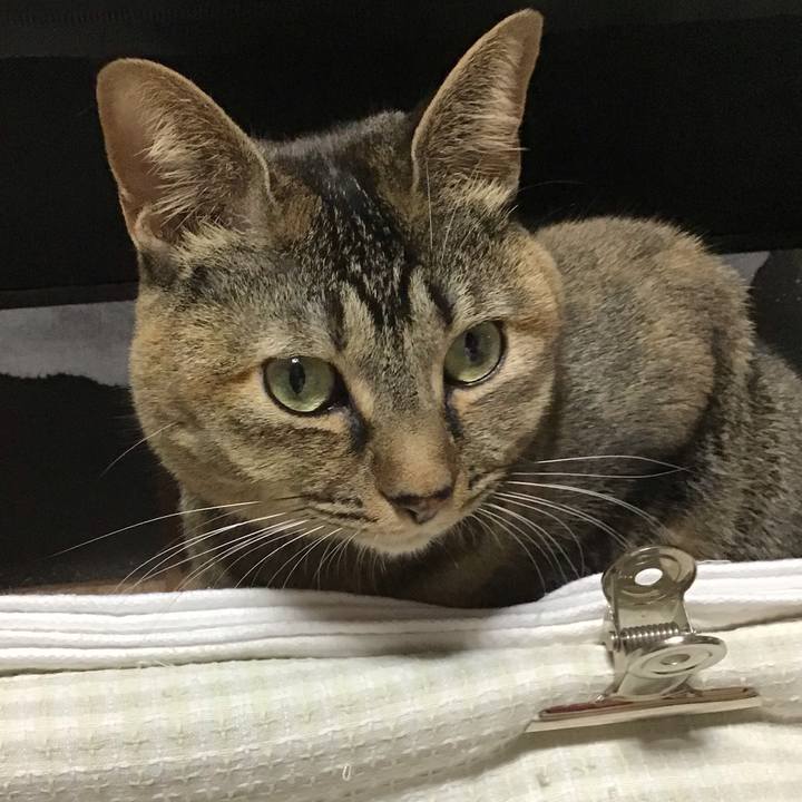 22320e62 e7e4 4b3d 9e30 5971b9eaa8b7 1637054816909