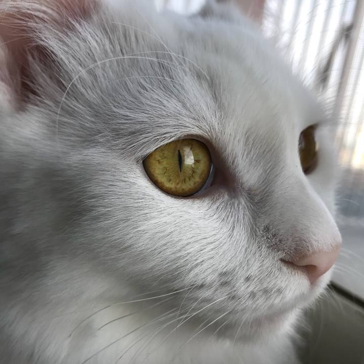 22323f2d cebe 40a9 9c2d 21348207e34e 1526083687416