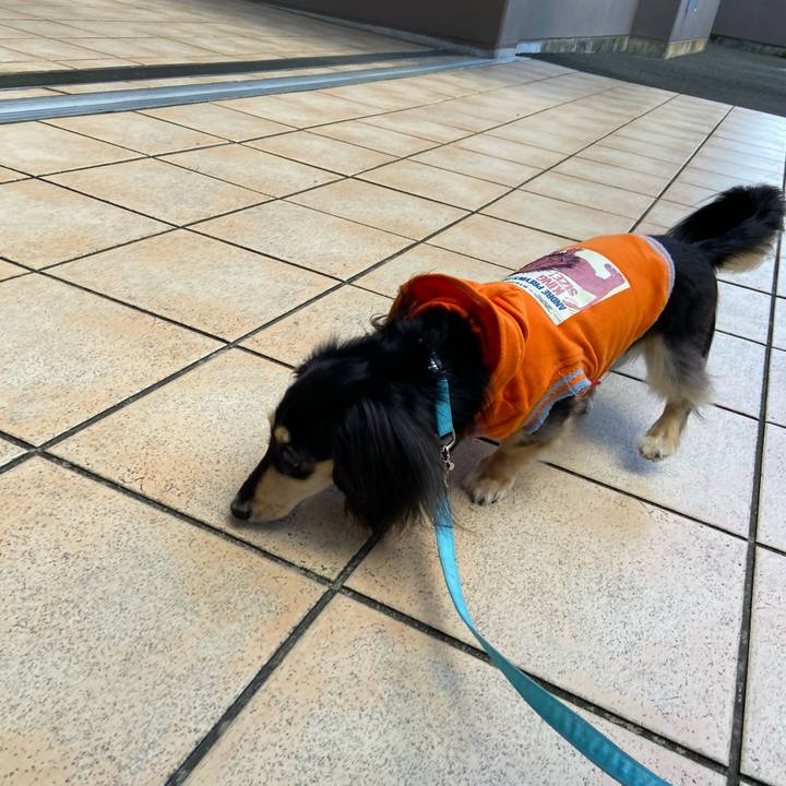 22324704 6f1f 4417 b895 a9c1bdeb0475 1728877727813