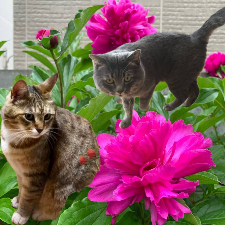 223261b8 8a60 45be 9da8 ae42fdd0880d 1750894141426