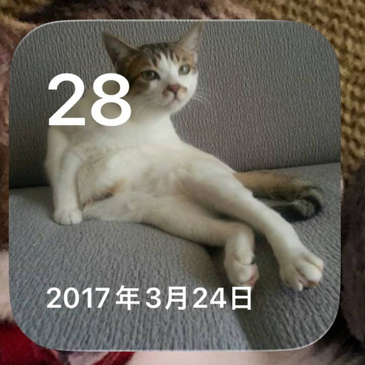 2232718b d54b 4b8d af68 8a1735cc017d 1774692874938