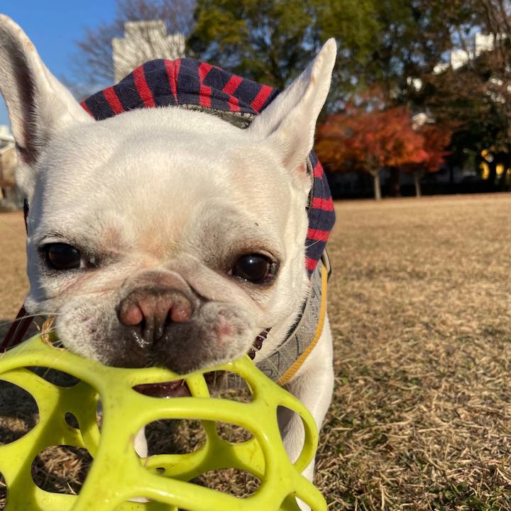 2232807a 0e7d 4810 86e2 0c74c6db10e2 1765622904152