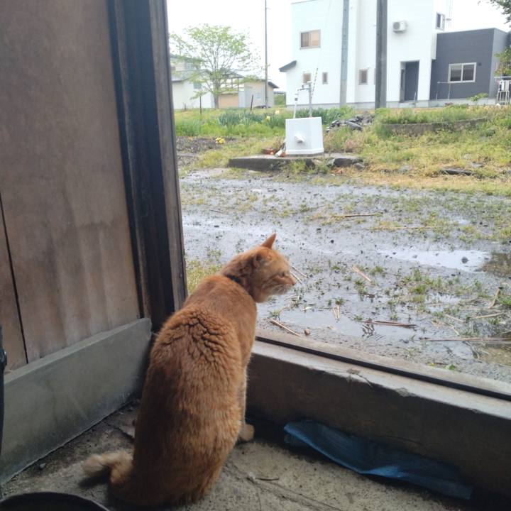 223289ff 7a61 4c8b bf4f 4d51c555d060 1683435620014