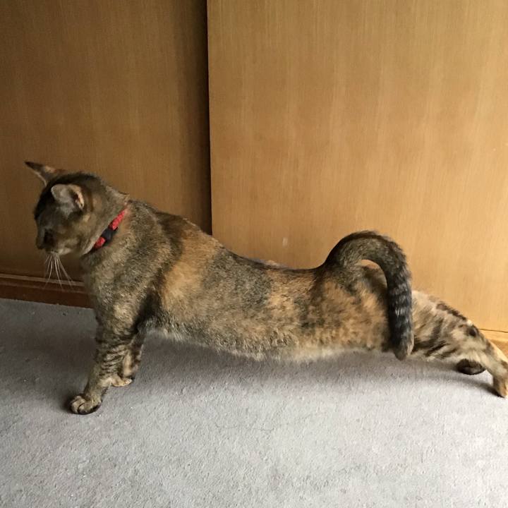 22329f44 0449 4bce a56b 9b0c1835ec04 1585446017313