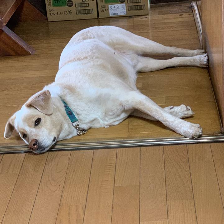 2232c36b f952 499f 9966 b370bc140c46 1556850072266