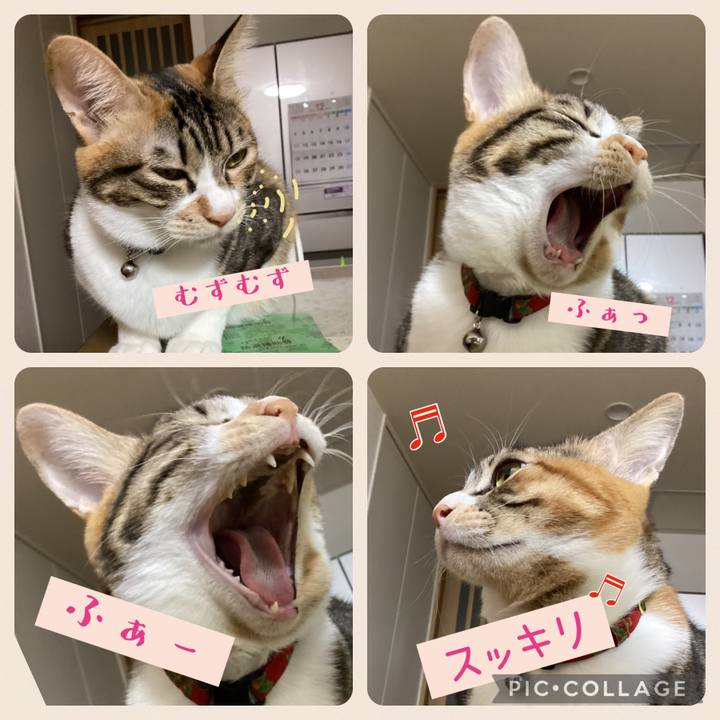 2232d564 6172 4580 ae66 8f018b982f56 1673394221578