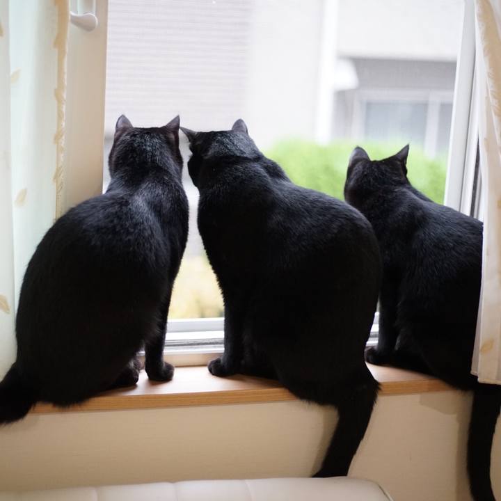 2232dedf 8e52 409d 9bcc 197dffc58fca 1528241337152