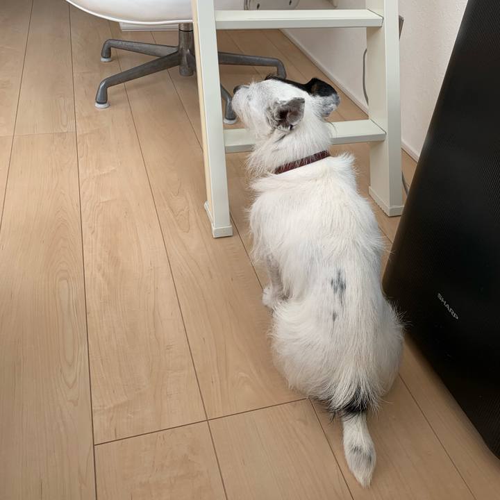 2232eda2 9675 4c1e a6bf a4f465086d8e 1712028143531