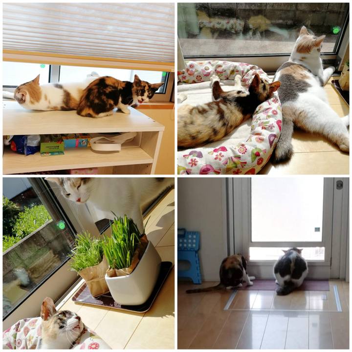 2232f5f4 c2e9 45aa bff5 fc9d7844b9b3 1595080589202