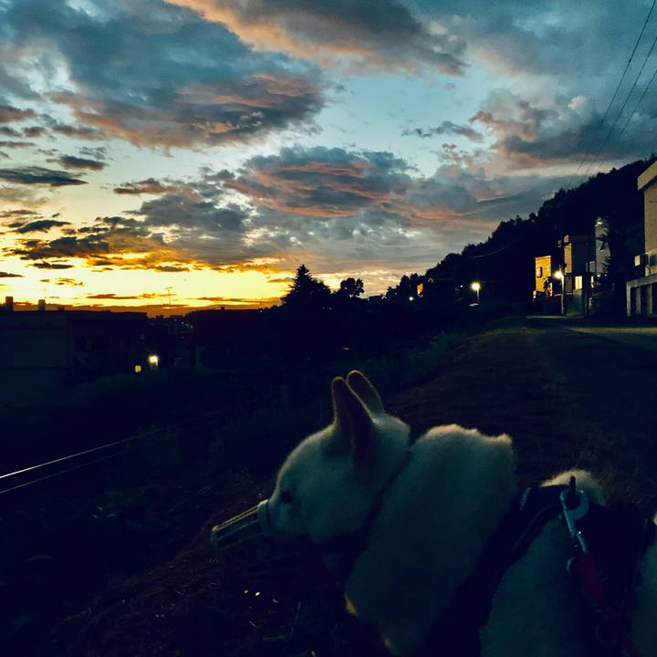 22331eba 7c4c 4f51 a724 d65cdda276b9 1628365248339