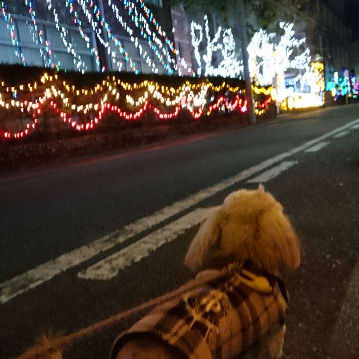 2233567a c57a 494d 8bf7 b076253337f5 1513687961243