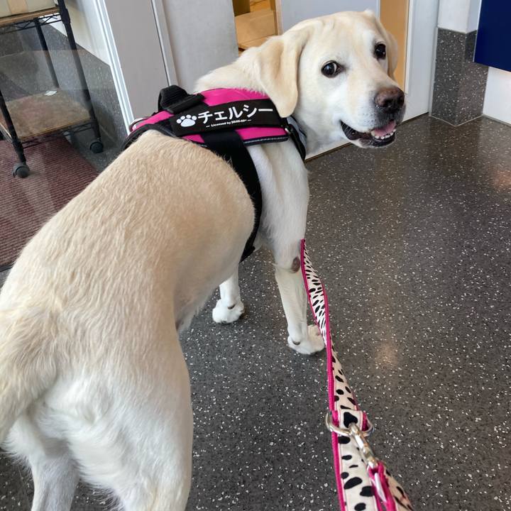 22337629 9555 47d2 b89c 494557bb2043 1731940496905